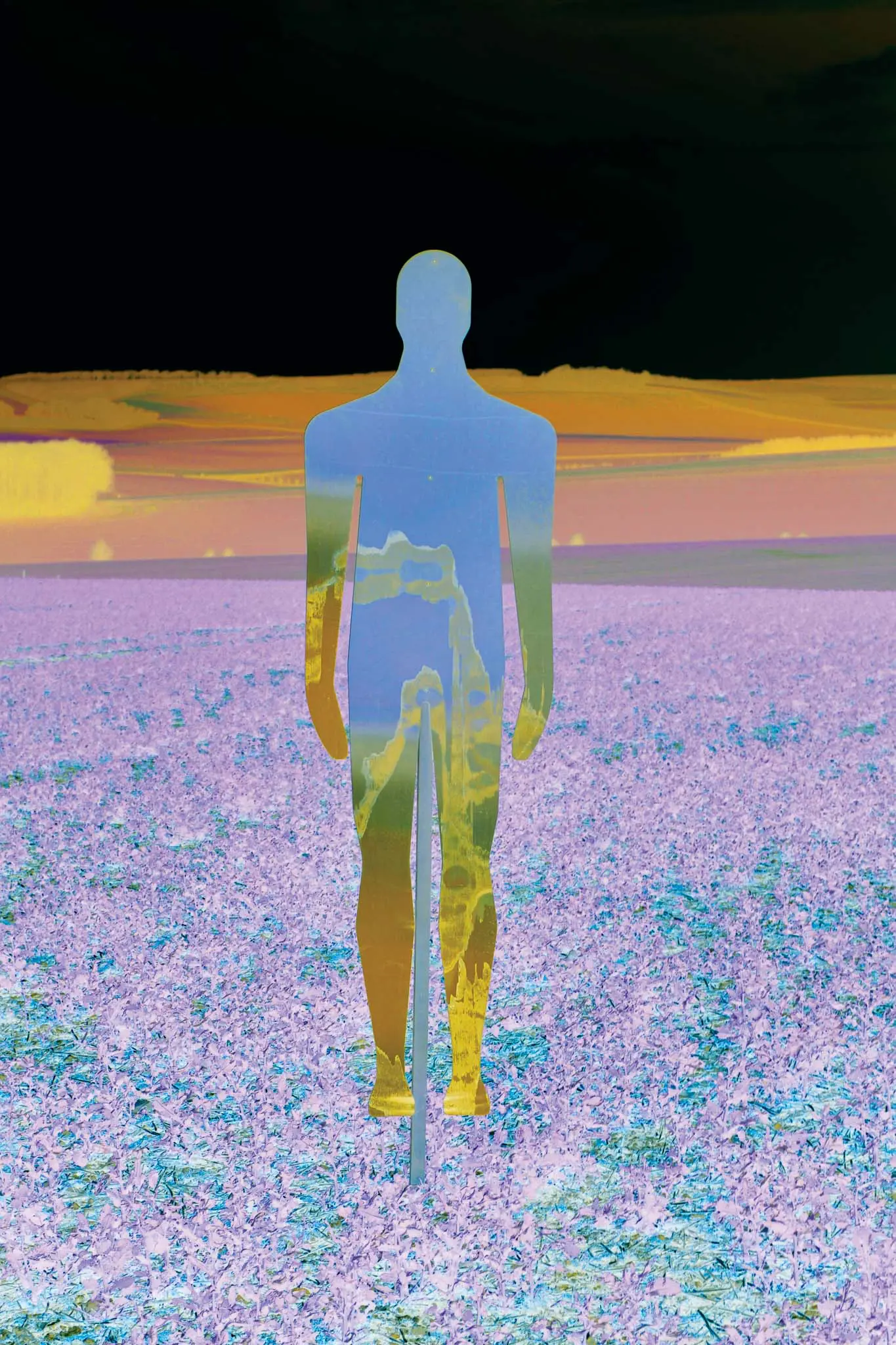 modern scarecrow photo
