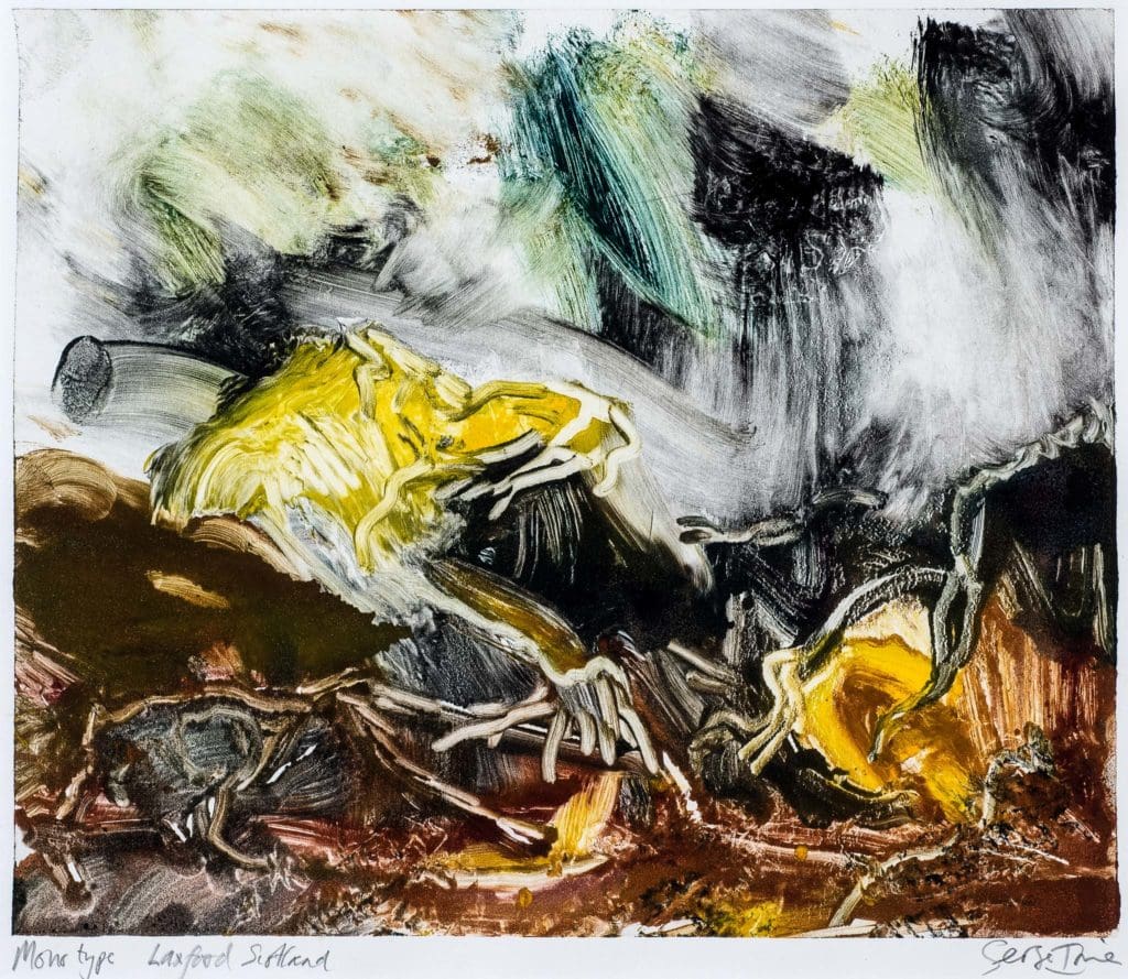 18" x 20", monotype